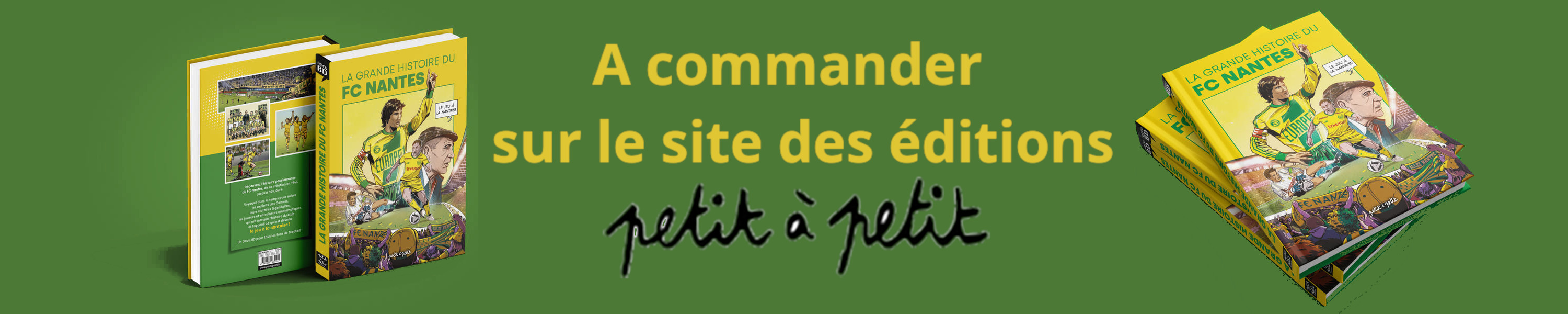 banniere-docubdfcnantes.jpg
