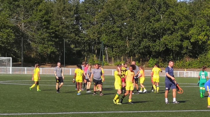 FCN - ASPTT Albi : Carton des Nantaises pour la première à domicile